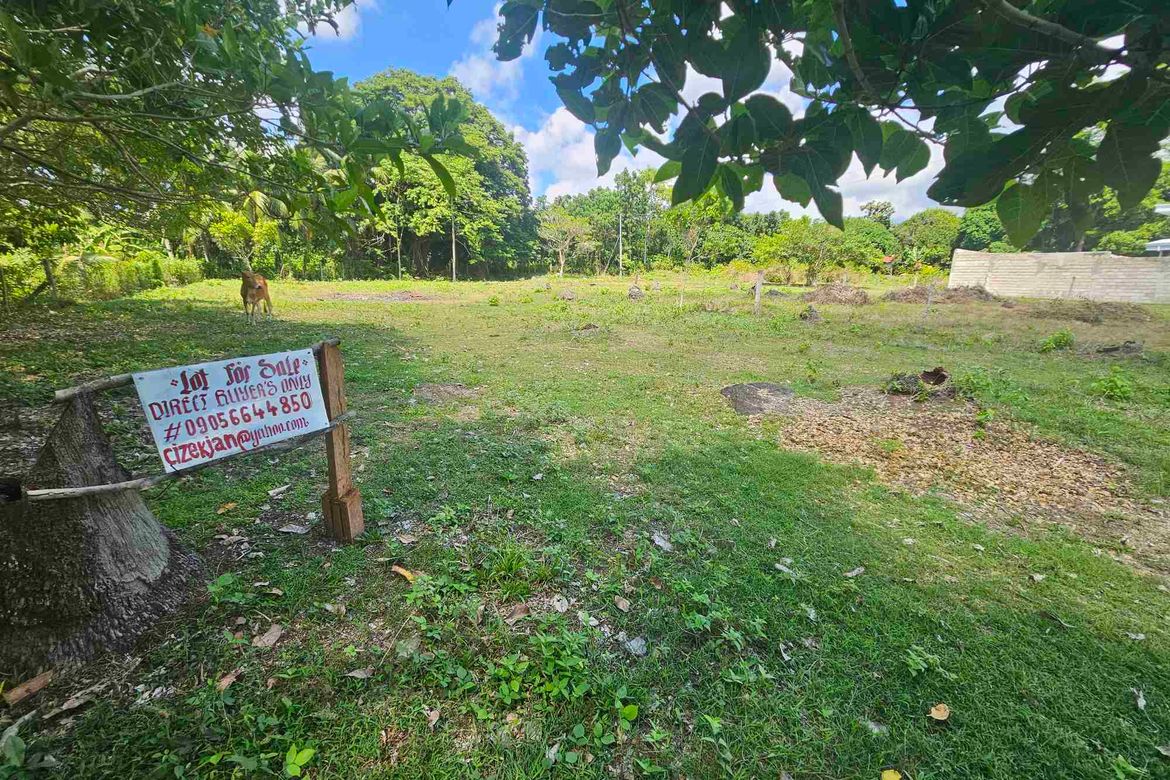 Land for Sale in Balayagmanok, Bacong, Negros Oriental