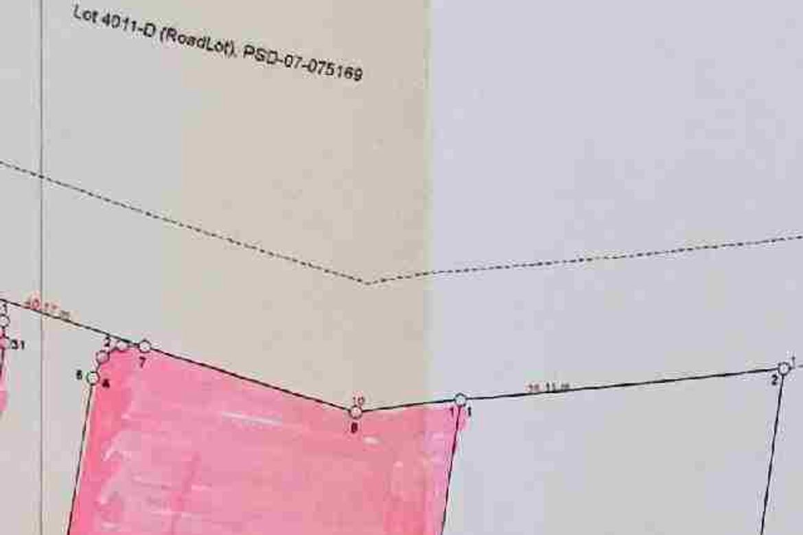 Land for Sale in Balayagmanok, Bacong, Negros Oriental – photo 2