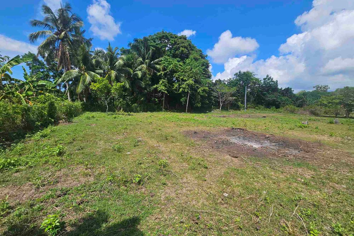 Land for Sale in Balayagmanok, Bacong, Negros Oriental – photo 6