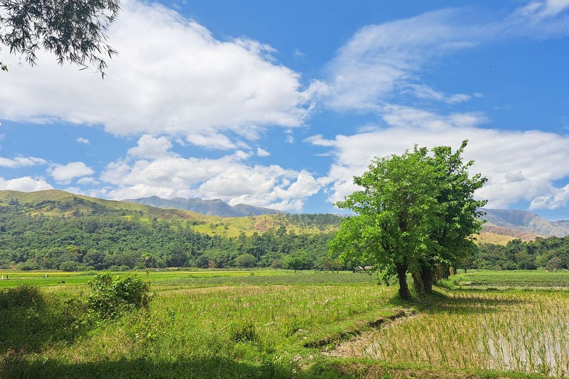 Land for Sale in Balaybay, Castillejos, Zambales