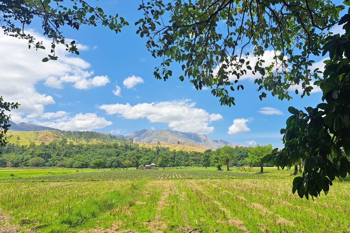 Land for Sale in Balaybay, Castillejos, Zambales – photo 6