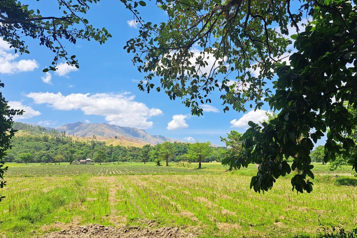 Land for Sale in Balaybay, Castillejos, Zambales – photo 7