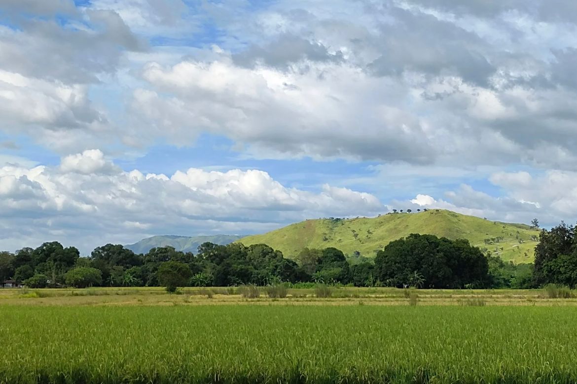 Land for Sale in Balaybay, Castillejos, Zambales – photo 5