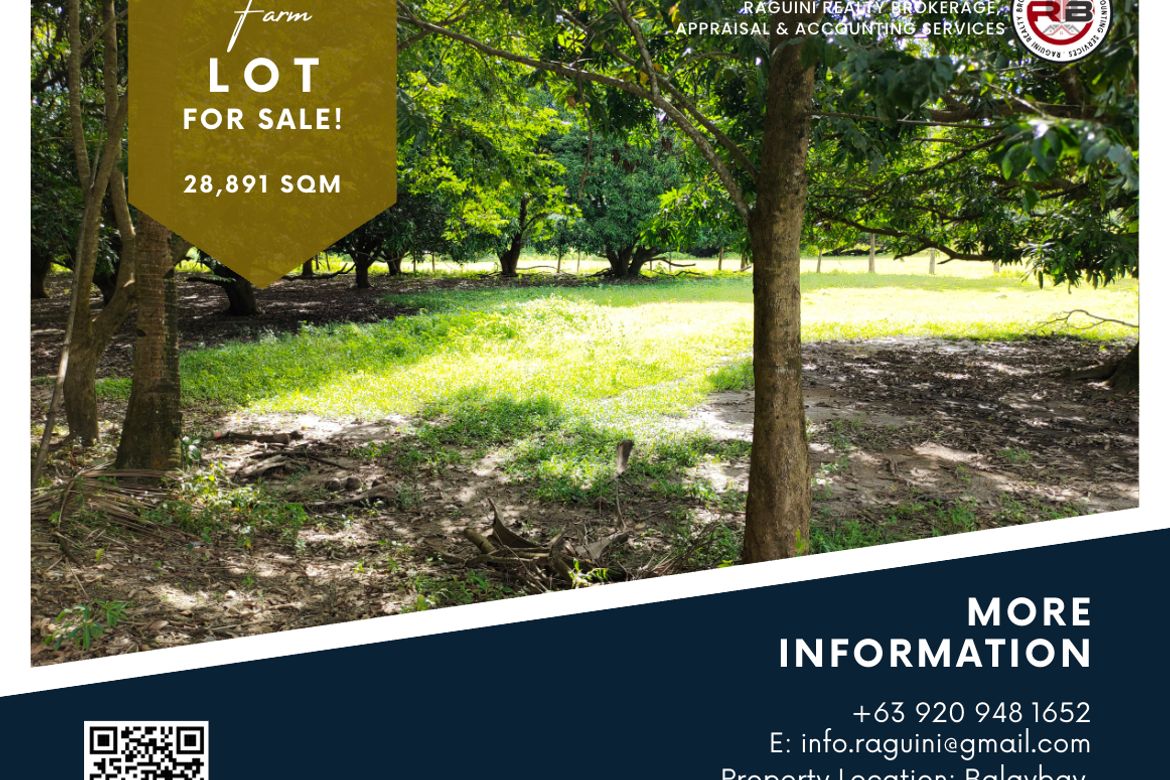 Land for Sale in Balaybay, Castillejos, Zambales – photo 7