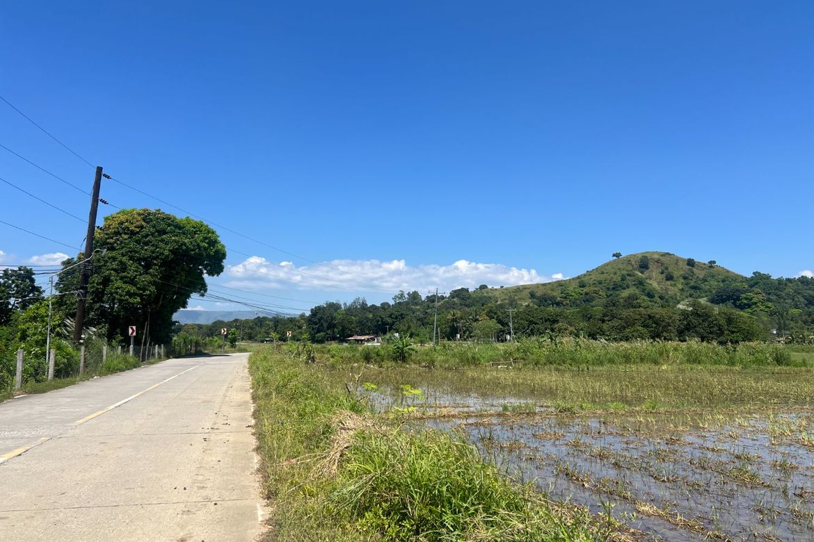 Land for Sale in Balaybay, Castillejos, Zambales