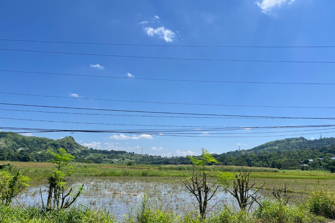 Land for Sale in Balaybay, Castillejos, Zambales – photo 2
