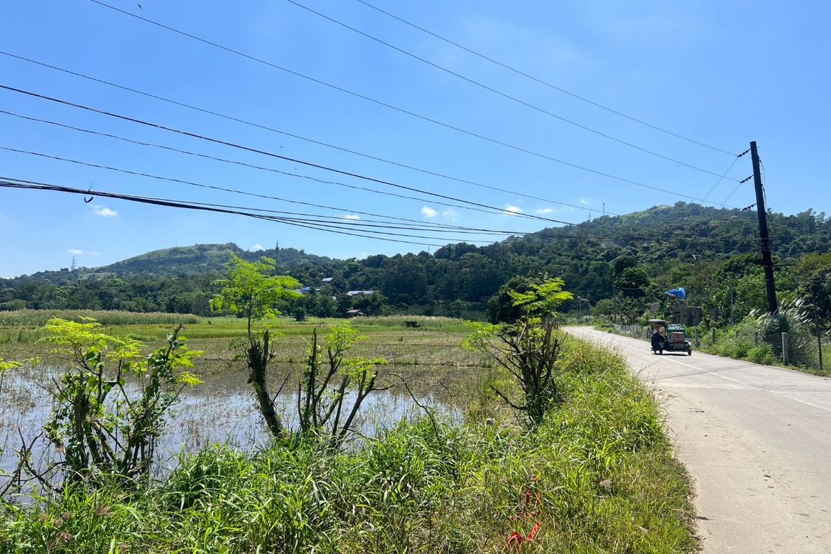 Land for Sale in Balaybay, Castillejos, Zambales – photo 3