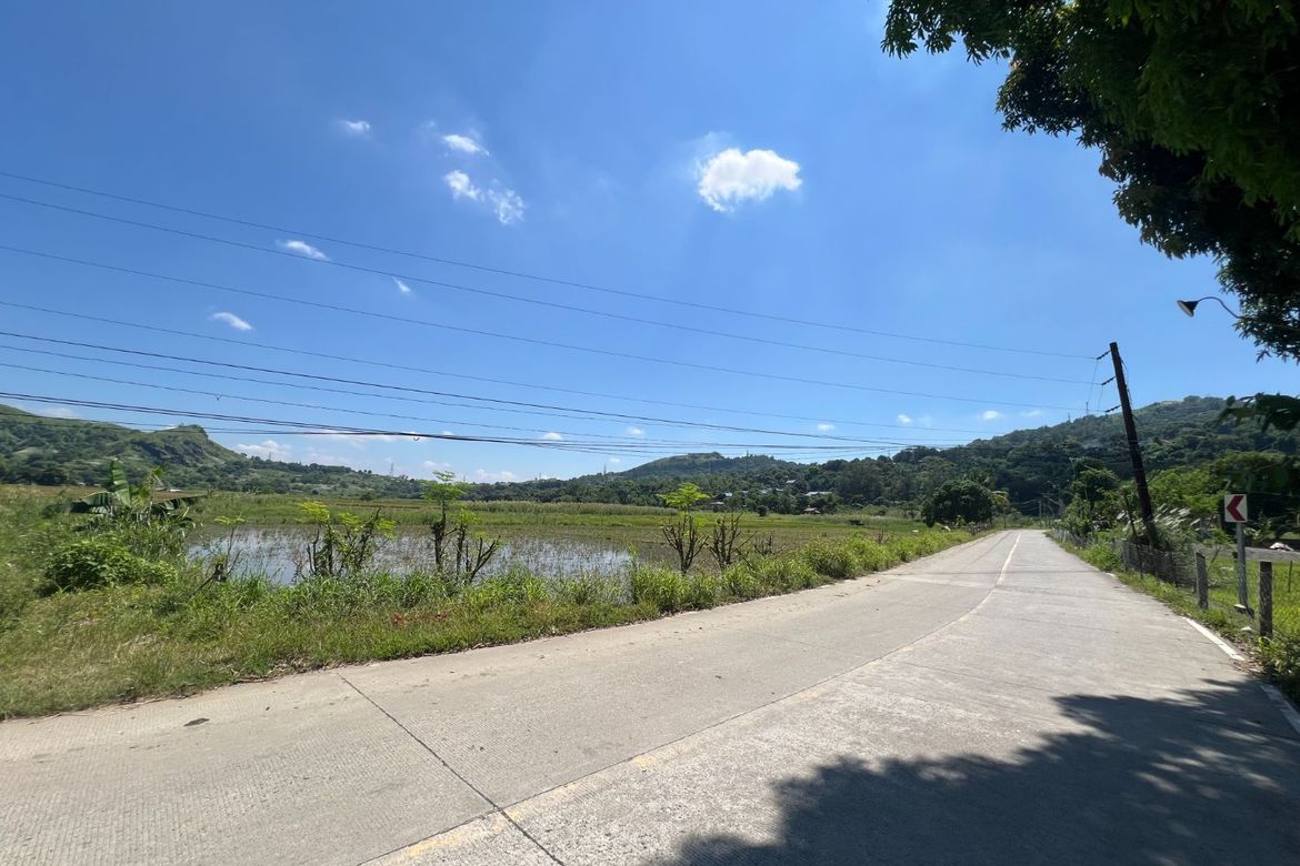 Land for Sale in Balaybay, Castillejos, Zambales – photo 6