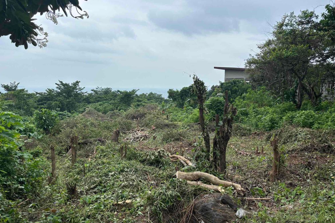 Land for Sale in Balaytigui, Nasugbu, Batangas – photo 2