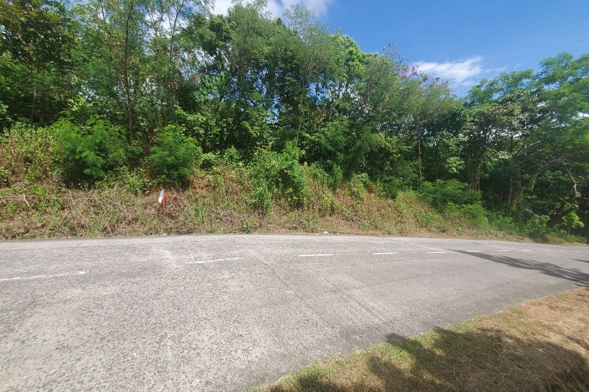 Land for Sale in Balaytigui, Nasugbu, Batangas – photo 4