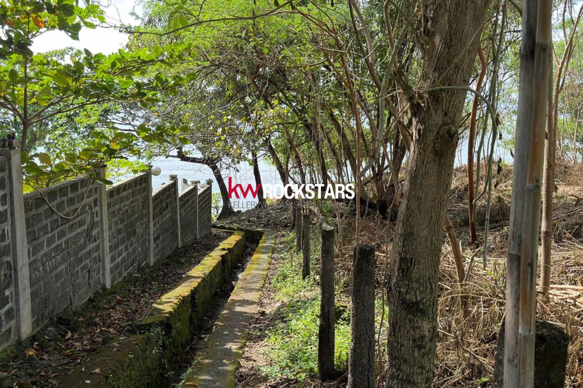 Land for Sale in Balaytigui, Nasugbu, Batangas – photo 3
