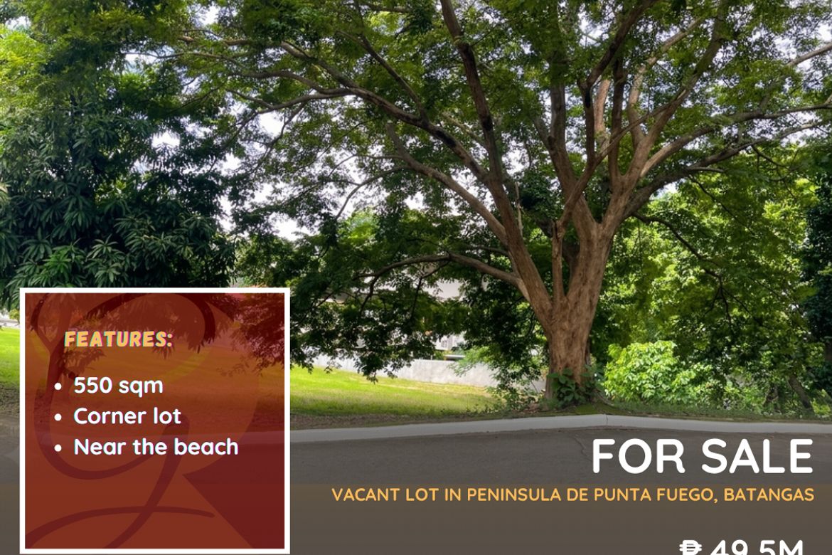 Land for Sale in Balaytigui, Nasugbu, Batangas