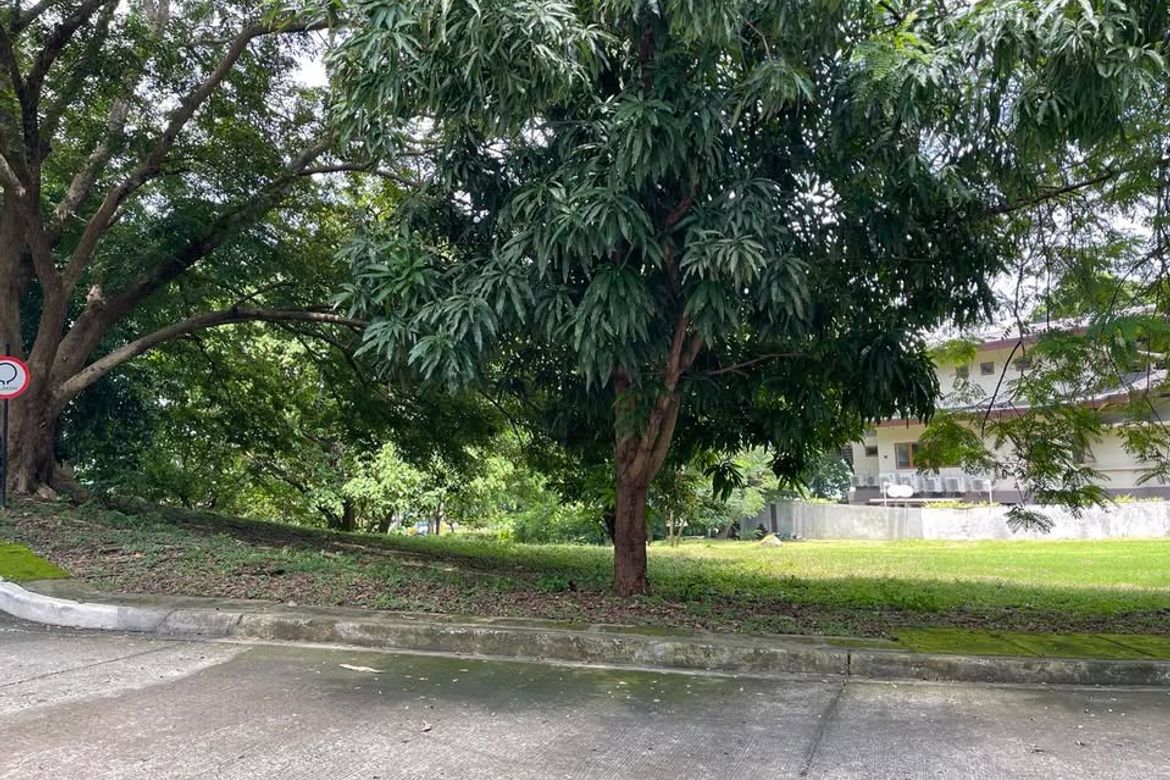 Land for Sale in Balaytigui, Nasugbu, Batangas – photo 3