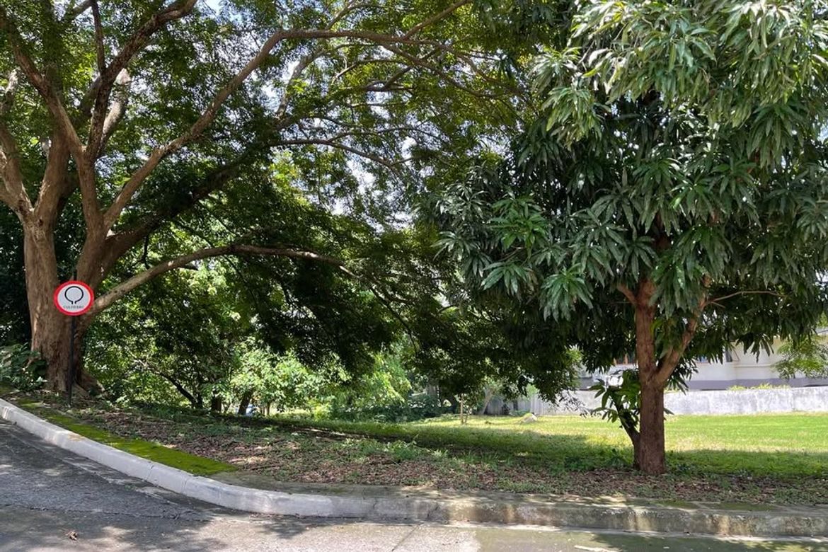 Land for Sale in Balaytigui, Nasugbu, Batangas – photo 4