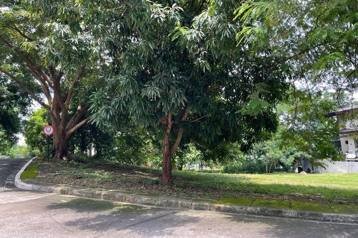 Land for Sale in Balaytigui, Nasugbu, Batangas – photo 5