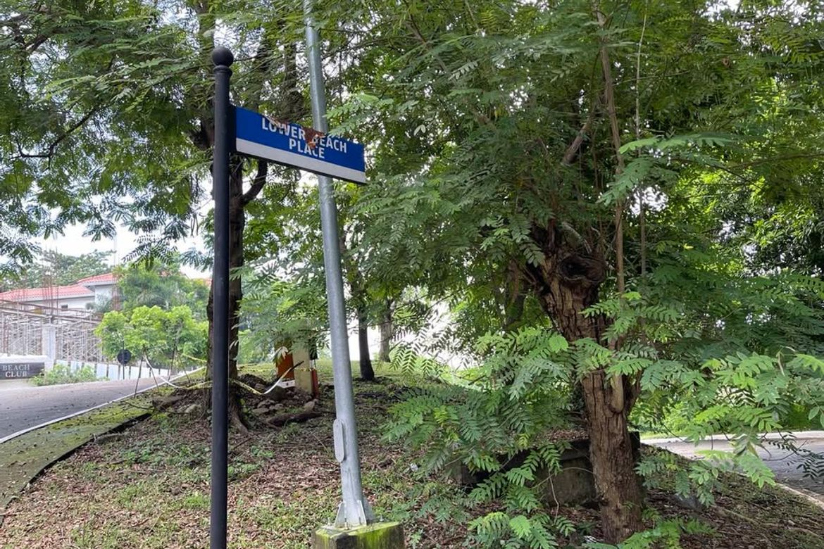 Land for Sale in Balaytigui, Nasugbu, Batangas – photo 7
