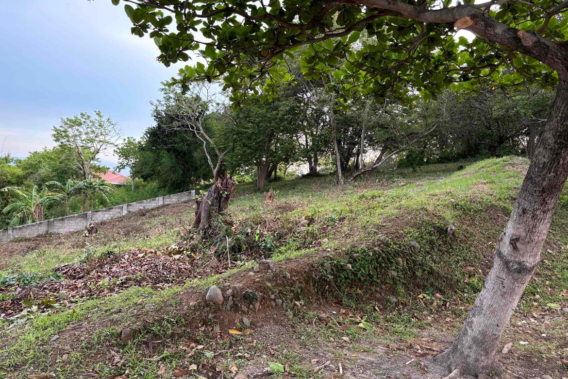 Land for Sale in Balaytigui, Nasugbu, Batangas – photo 4