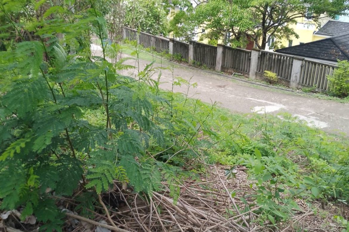 Land for Sale in Balaytigui, Nasugbu, Batangas – photo 2