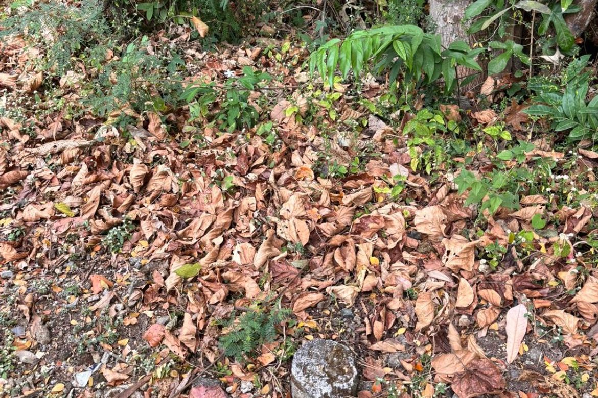 Land for Sale in Balaytigui, Nasugbu, Batangas – photo 3