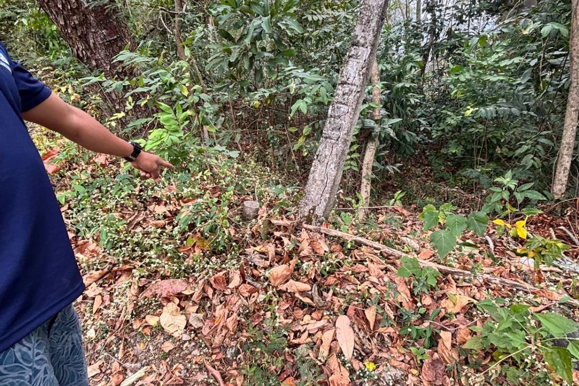 Land for Sale in Balaytigui, Nasugbu, Batangas – photo 4