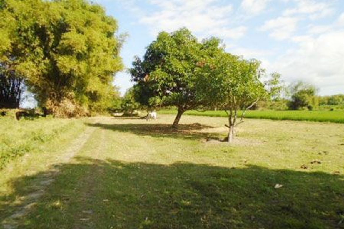 Land for Sale in Balbaloto, Victoria, Tarlac