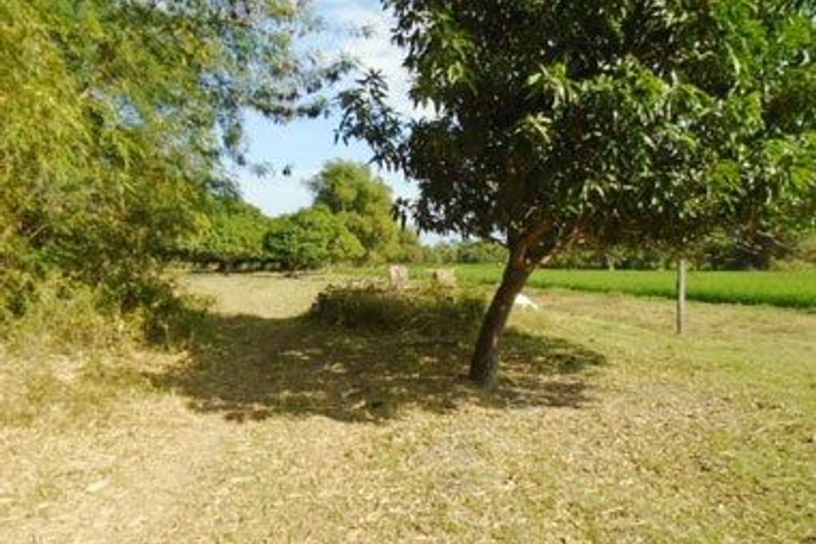 Land for Sale in Balbaloto, Victoria, Tarlac – photo 2