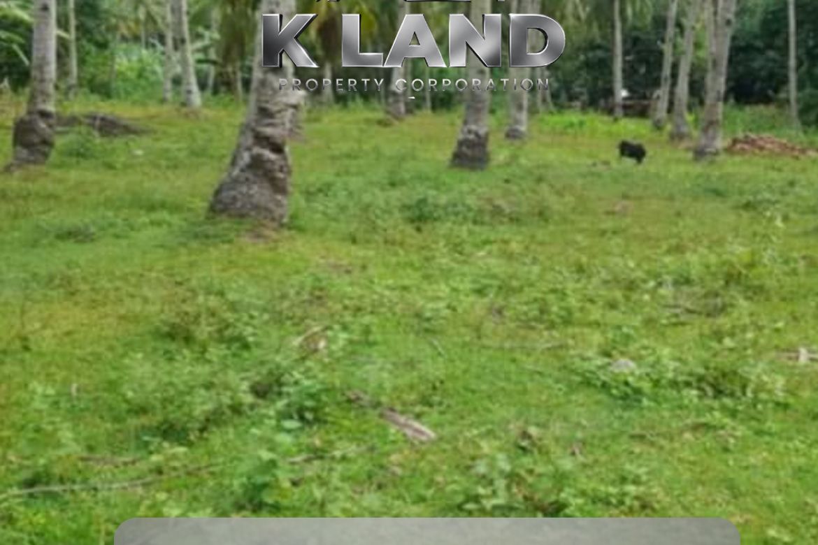 Land for Sale in Balet, Samal, Davao del Norte
