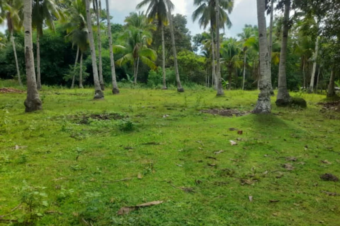 Land for Sale in Balet, Samal, Davao del Norte – photo 2