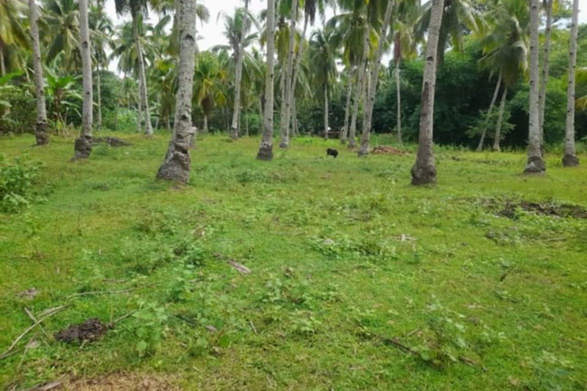 Land for Sale in Balet, Samal, Davao del Norte – photo 3