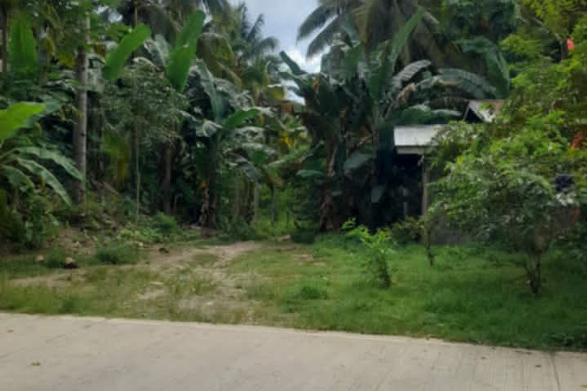 Land for Sale in Balet, Samal, Davao del Norte – photo 4