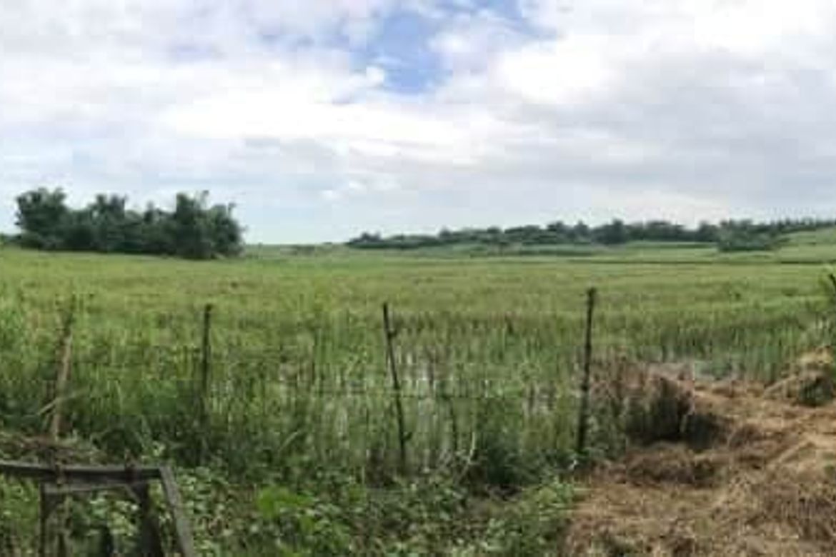 Land for Sale in Balibago, Angeles, Pampanga – photo 4