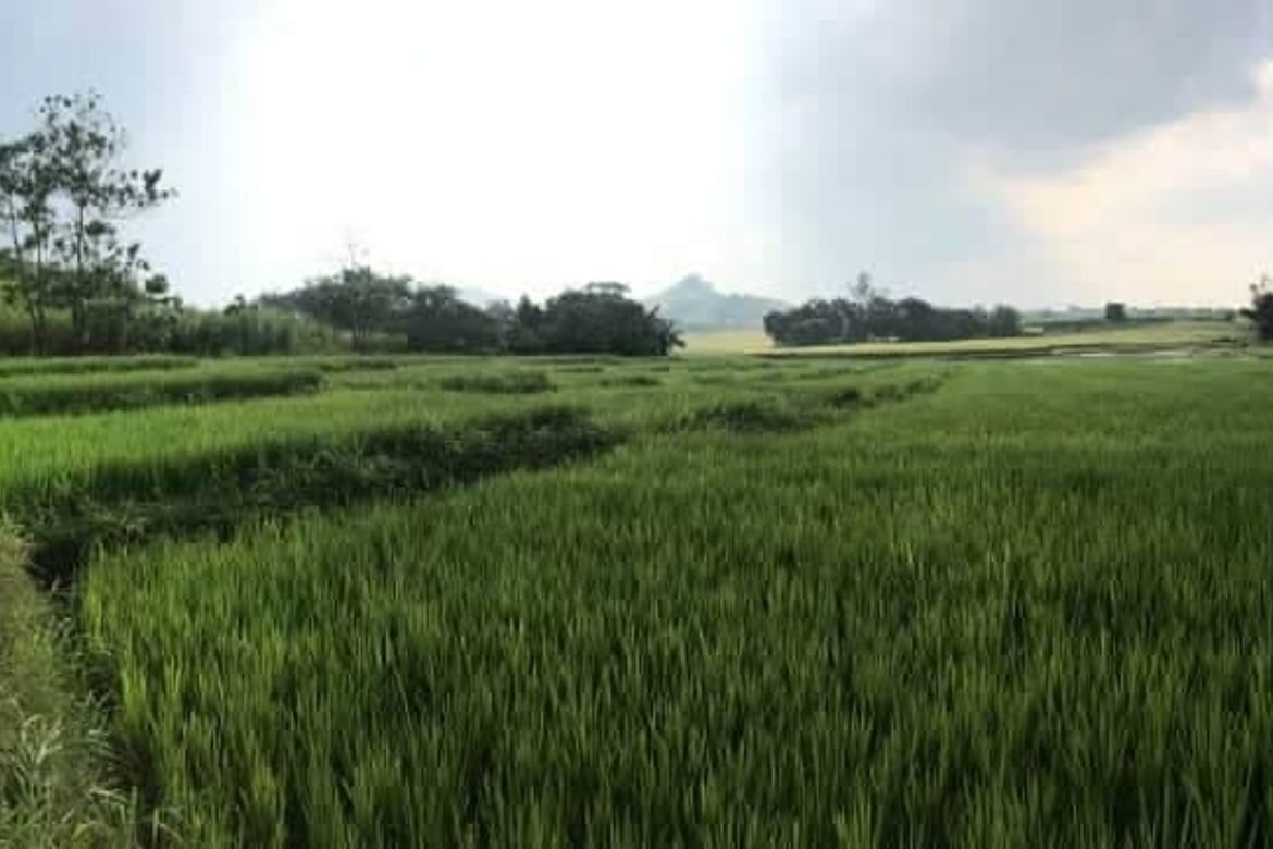 Land for Sale in Balibago, Angeles, Pampanga – photo 5