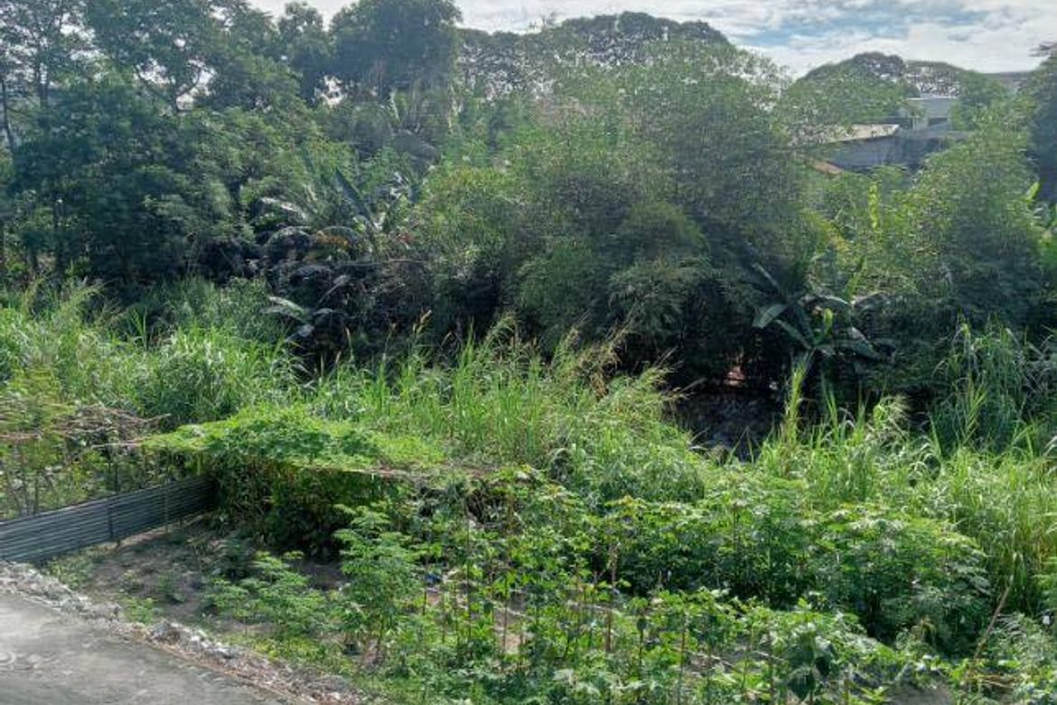 Land for Sale in Balibago, Angeles, Pampanga – photo 4
