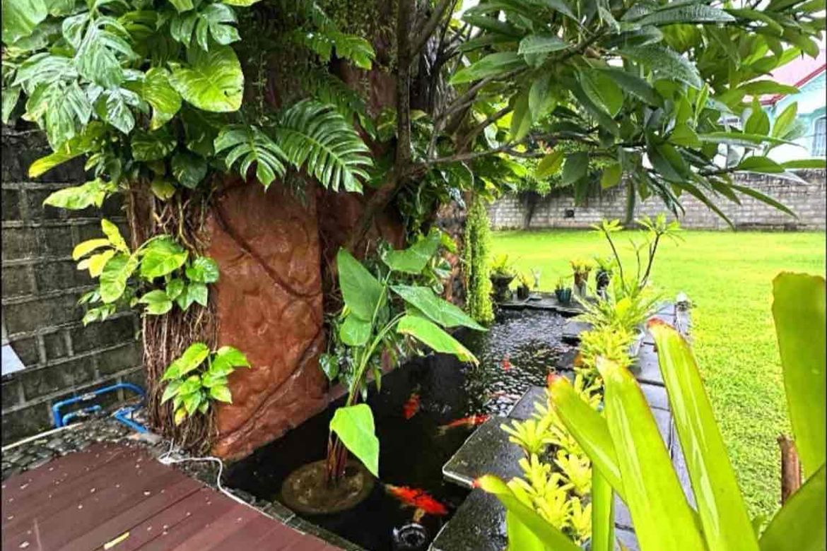 Land for Sale in Balibago, Angeles, Pampanga – photo 3