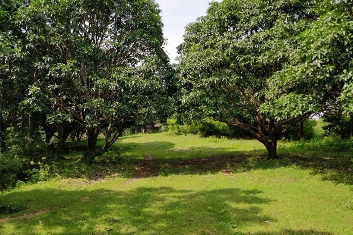 Land for Sale in Balibago, Calatagan, Batangas – photo 5