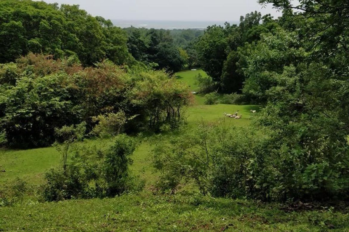 Land for Sale in Balibago, Calatagan, Batangas – photo 7