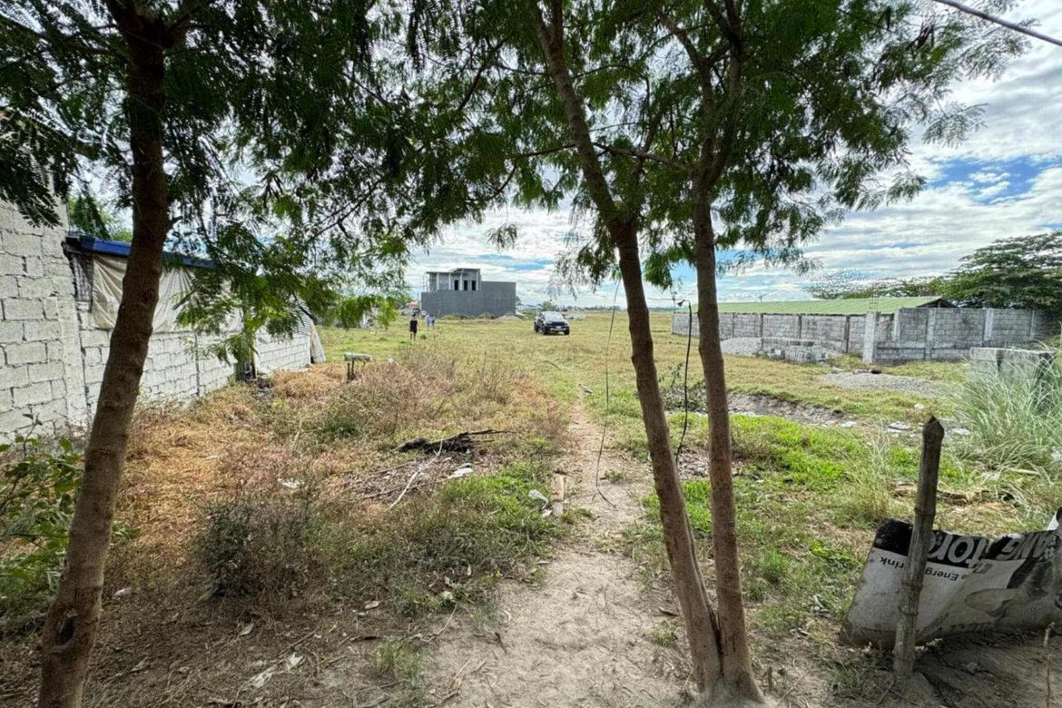 Land for Sale in Balibago I, Tarlac, Tarlac – photo 2