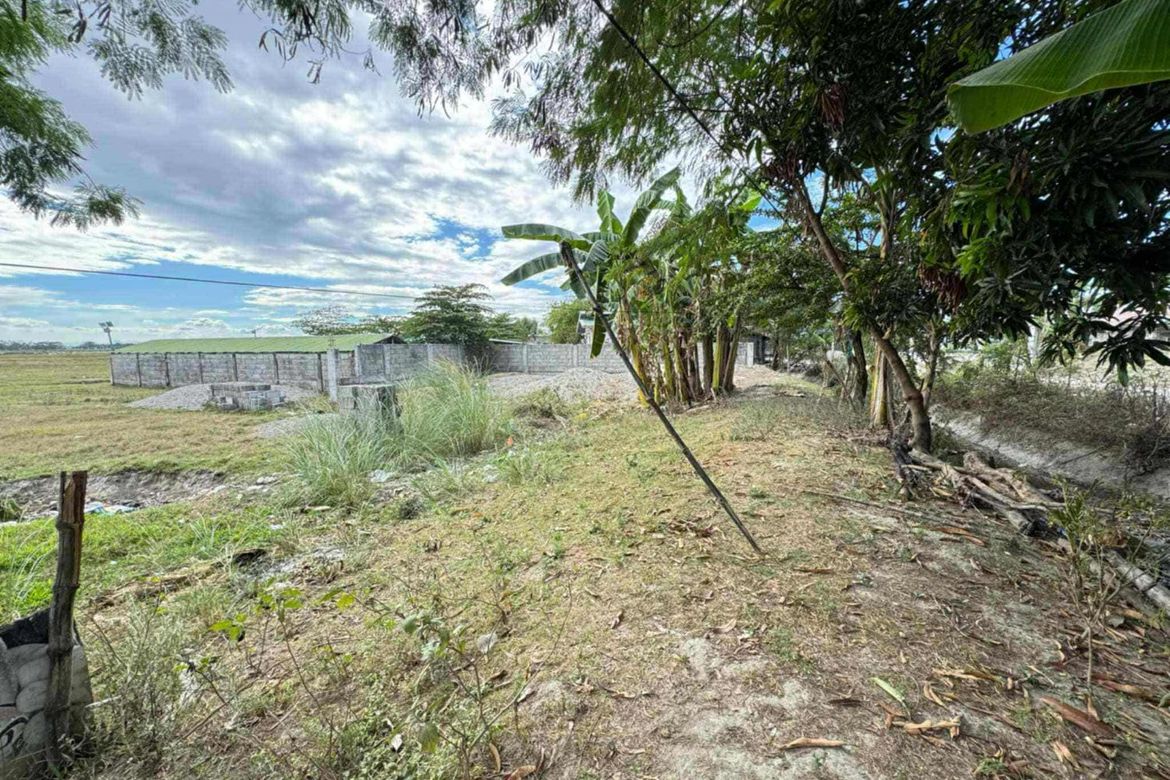Land for Sale in Balibago I, Tarlac, Tarlac – photo 3