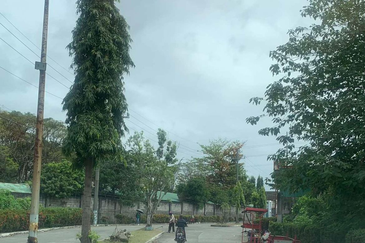 Land for Sale in Balibago, Santa Rosa, Laguna – photo 4