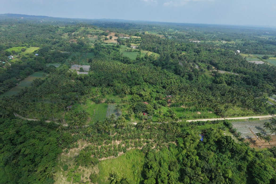 Land for Sale in Balimbing, Calaca, Batangas – photo 3