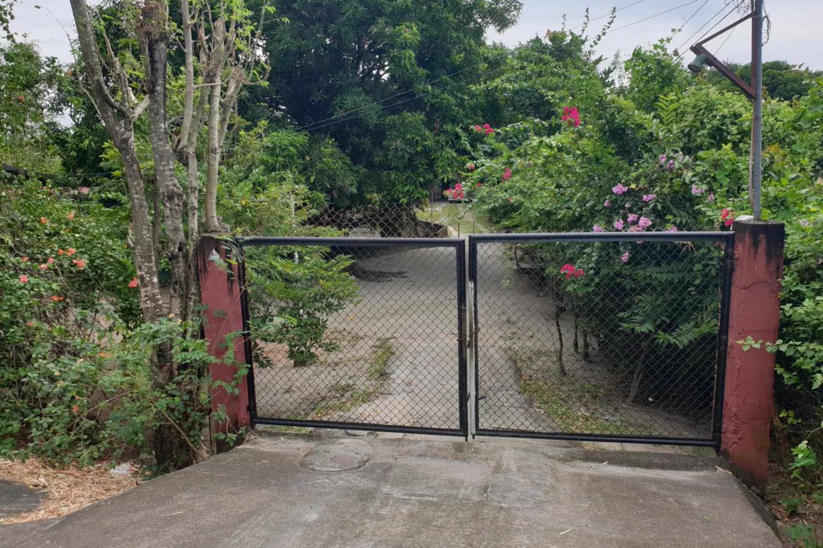 Land for Sale in Balingcanaway, Tarlac, Tarlac – photo 2