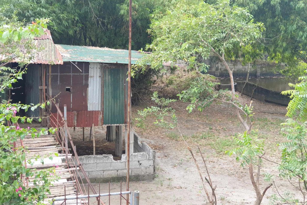 Land for Sale in Balingcanaway, Tarlac, Tarlac – photo 5