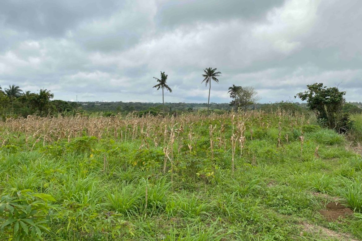 Land for Sale in Balite I, Silang, Cavite