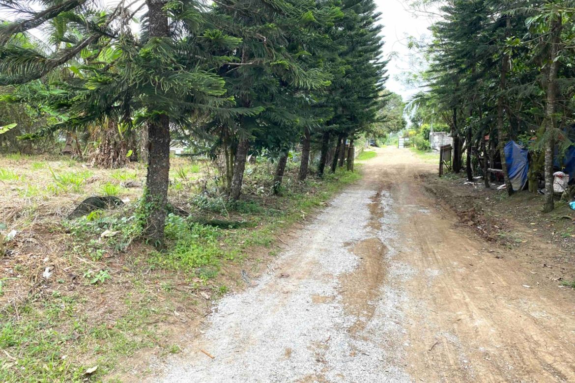 Land for Sale in Balite I, Silang, Cavite – photo 5