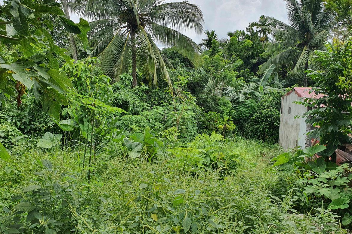 Land for Sale in Balite I, Silang, Cavite – photo 2