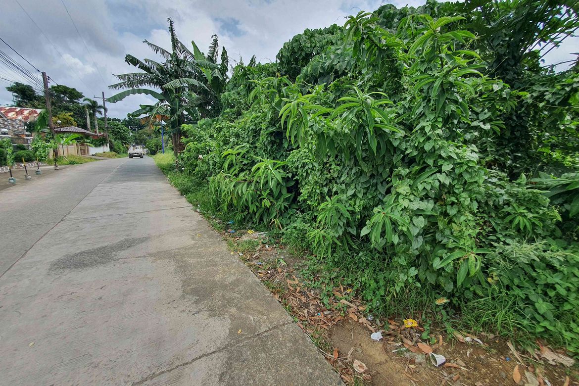 Land for Sale in Balite I, Silang, Cavite – photo 3