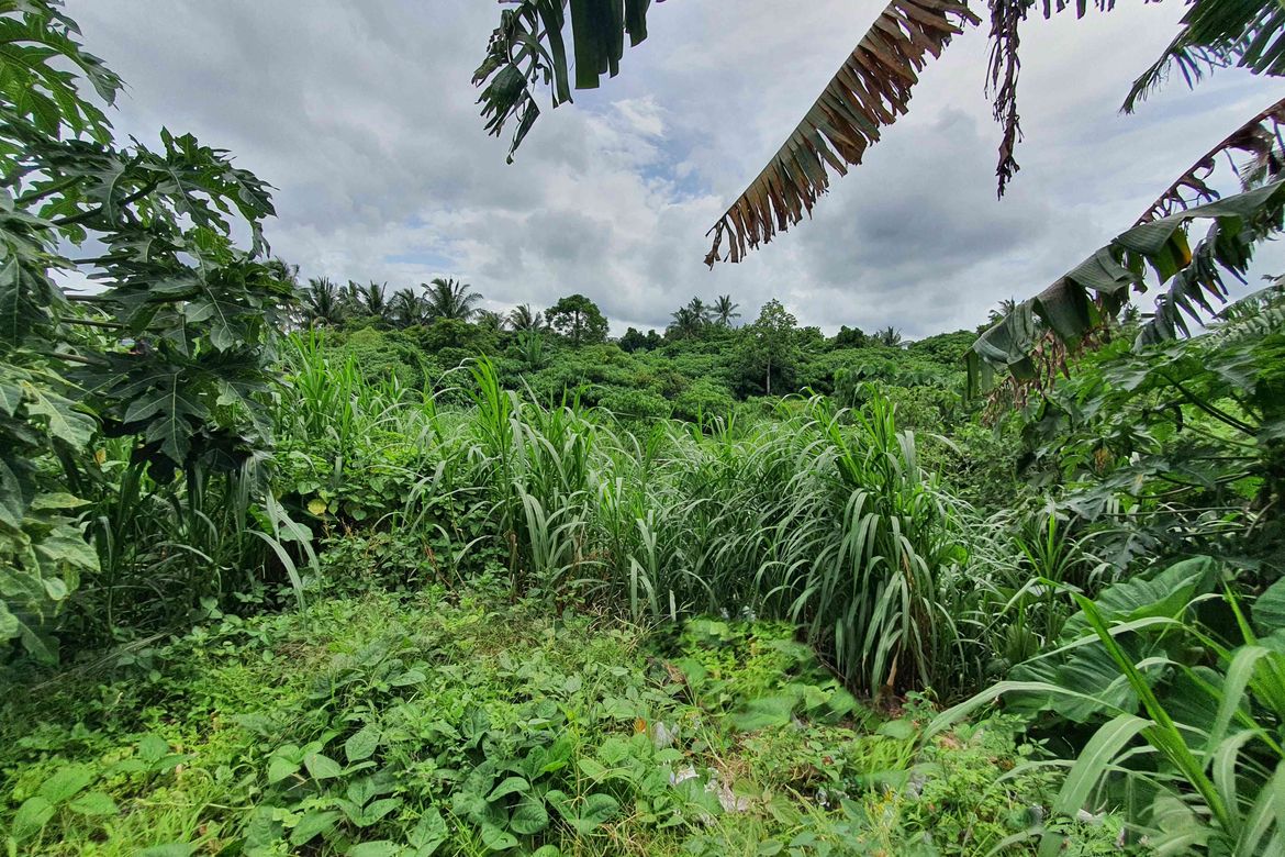 Land for Sale in Balite I, Silang, Cavite – photo 4