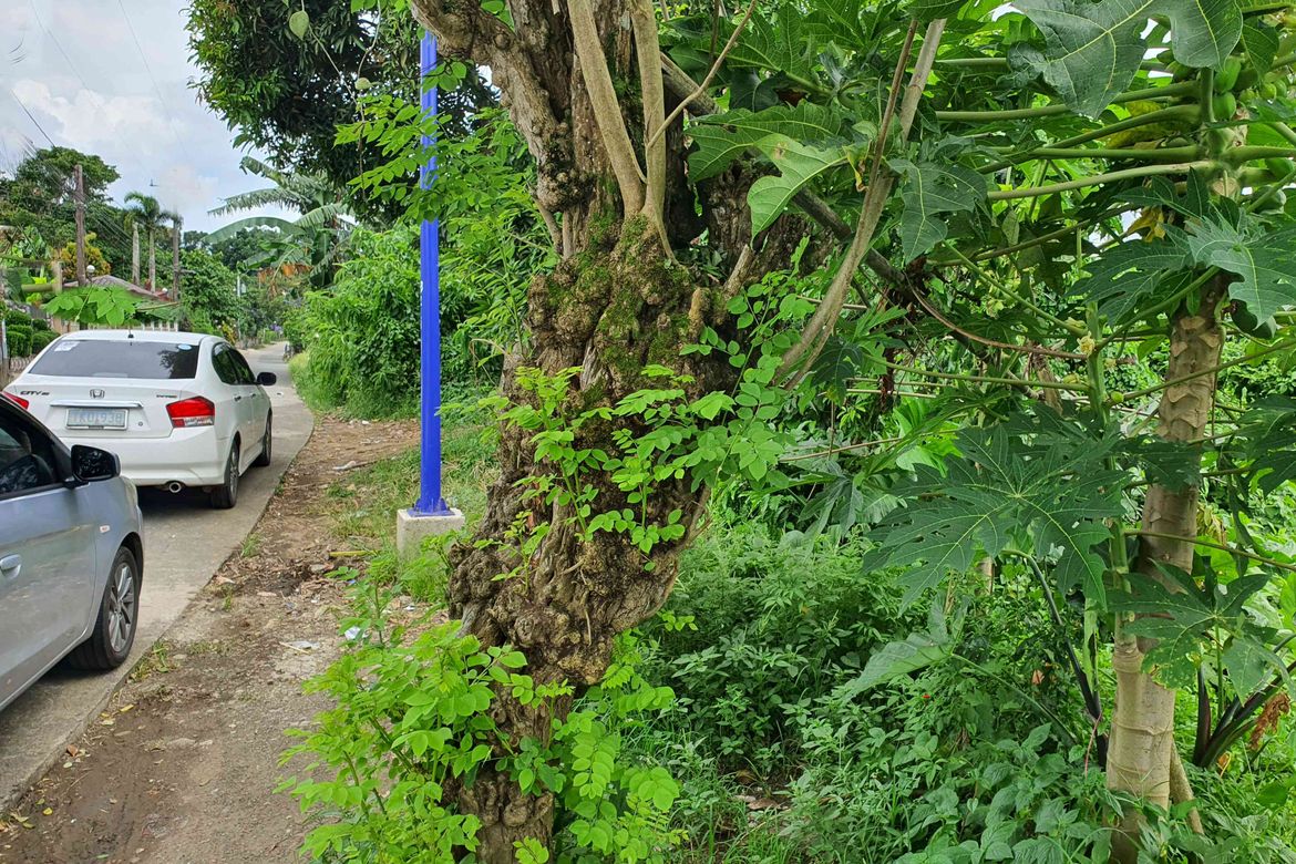 Land for Sale in Balite I, Silang, Cavite – photo 5