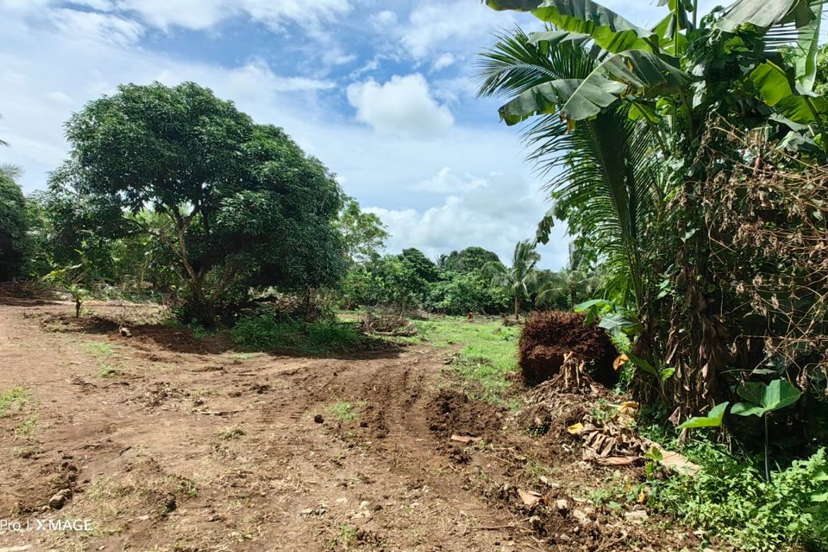 Land for Sale in Balite I, Silang, Cavite – photo 2