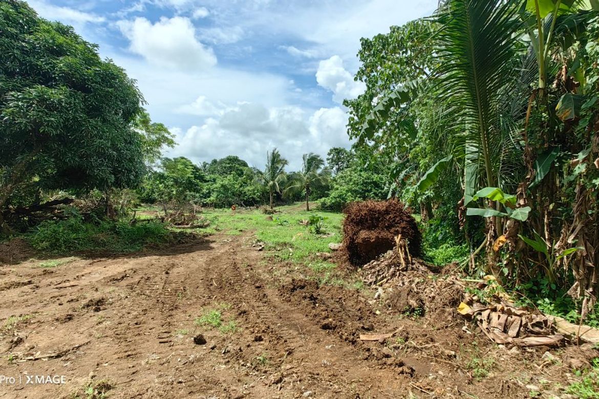 Land for Sale in Balite I, Silang, Cavite – photo 3